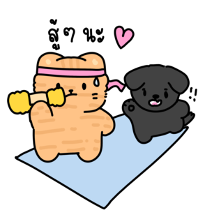 Wa X Fay Couple Life